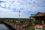稻田蟹养殖区俨然是一派高颜值休闲景区。　朱志庚 摄 - 江苏新闻网