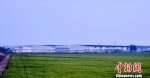 在黄河边被稻田地包围的全稳生态农业科技集团涟水厂区。　朱志庚 摄 - 江苏新闻网
