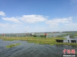 目前阳澄湖已升格为苏州市第二水源地，围网养殖面积也从巅峰时的14.2万亩缩减至1.6万亩。（资料图）　钟升　摄 - 江苏新闻网