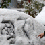 资料图：山东降雪 - 新浪江苏
