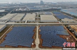 在位于南京经济技术开发区的博世汽车技术服务(中国)有限公司内，架设摆放在厂区内的太阳能电池板犹如密集矩阵，占地面积巨大。　泱波 摄 - 江苏新闻网