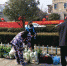 华联欢乐买在邳州汇龙国际花园小区定点销售蔬果。 - 江苏新闻网