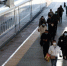 春运发送旅客14.76亿人次 同比下降50.3% - 新浪江苏
