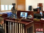 　史某犯非法狩猎罪，获刑六个月。徐州铁路运输法院供图 - 江苏新闻网