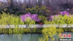 　扬州瘦西湖桃红柳绿，游客前来踏春赏景。　孟德龙 摄 - 江苏新闻网