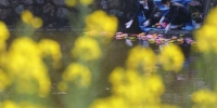 工作人员在莲花池中放入近百盏莲花灯，为故人祈福。　泱波 摄 - 江苏新闻网