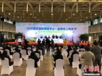 28日，“2020南京国际博览中心——金陵线上购车节暨户外汽车超市”的开幕仪式在南京举办。　朱晓颖　摄 - 江苏新闻网