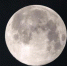 全年最大超级月亮4月8日上演 中国各地均可观赏 - 新浪江苏