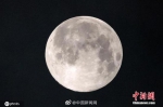 全年最大超级月亮4月8日上演 中国各地均可观赏 - 新浪江苏