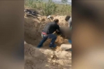 民警将老人从墓穴中抬出。 视频截图 - 新浪江苏