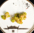 扬州推舌尖上“二十四节气”菜点--蚕豆糁。　扬州大学烹饪学院供图 - 江苏新闻网