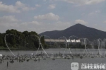 南京玄武湖推出音乐喷泉 一曲一千元至今无人尝鲜 - 新浪江苏