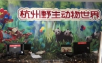 2019年11月5日，杭州野生动物世界年卡办理窗口。 - 新浪江苏
