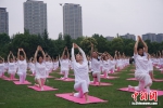 瑜伽爱好者集体开练。 - 江苏新闻网