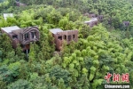 航拍江苏常州溧阳美岕山上的“树屋”。　泱波 摄 - 江苏新闻网