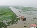 围网全面拆除后，太湖生态环境不再受困于曾经的“天罗地网”。　泱波 摄 - 江苏新闻网