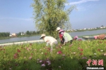 在景区务工的村民。　于从文 摄 - 江苏新闻网