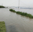 长江干流全线超警戒！江苏升级多个洪水预警 - 新浪江苏