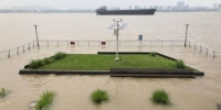 长江南京段水位继续上涨。　朱晓颖　摄 - 江苏新闻网