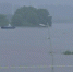 防汛形势严峻！南京河湖水位全面超警 - 新浪江苏