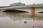 南京秦淮河中华门至集庆门段，亲水步道被水淹没。　泱波　摄 - 江苏新闻网