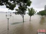 15日，鼓楼滨江的“江豚观赏地”观景平台几乎完全被江水淹没。　朱晓颖　摄 - 江苏新闻网
