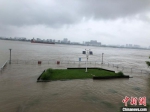 15日，长江南京段亲水平台被江水淹没。　朱晓颖 摄 - 江苏新闻网
