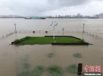 15日，长江南京段亲水平台被江水淹没。　朱晓颖 摄 - 江苏新闻网