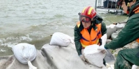 无锡消防指战员在太湖沿岸宜兴段对大堤进行加固作业。　许乾东　摄 - 江苏新闻网