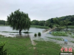 江苏省水利厅17日8时升级太湖洪水红色预警。受持续强降雨影响，17日7时，太湖平均水位上涨至4.65米(保证水位)，预计后期水位将继续上涨。　孙权 摄 - 江苏新闻网