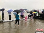 19日，降雨时断时续。在位于长江南京段的幕燕滨江风光带，人们在五马渡码头观看长江水位。　朱晓颖　摄 - 江苏新闻网