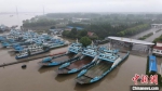 7月19日上午，长江扬州段水位快速上涨，镇扬汽渡停航。　孟德龙 摄 - 江苏新闻网