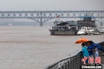 7月15日，市民在南京下关滨江风光带观看江水。(资料图) 泱波 摄 - 江苏新闻网