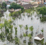 入汛以来，江苏多地水位超警超保。图为7月19日南京石臼湖水位。　泱波　摄 - 江苏新闻网