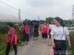 丹阳市访仙镇妇联组织妇女干部参观学习水果种植技术 - 妇女联合会