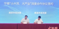 大会现场，南京市与商洛市签订多项合作协议，助力商洛产业发展。　崔晓　摄 - 江苏新闻网