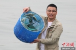 蟹农展示刚捕上的大闸蟹。　泱波 摄 - 江苏新闻网