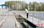 沛县地表水厂生产人员开展生产现场巡检。　朱志庚 摄 - 江苏新闻网