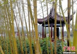 掩映在花草丛中的三省井文化公园。　朱志庚 摄 - 江苏新闻网