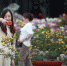 游客在菊花展上拍照留念。　孟德龙　摄 - 江苏新闻网