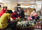 随着“双十一”到来，订单量猛增，工人在给花木打包。　丁华明 摄 - 江苏新闻网