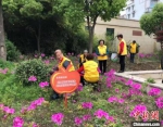 北濠东村社区居民志愿者把一块荒芜地打理成小花园。 北濠东村社区供图 - 江苏新闻网
