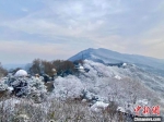 14日，俯瞰南京紫金山雪景。　陈向阳 摄 - 江苏新闻网