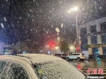 13日夜，南京迎今冬初雪。　徐珊珊 摄 - 江苏新闻网