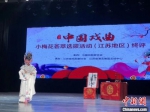 顾宸溪在舞台上表演。　李梦雅 摄 - 江苏新闻网