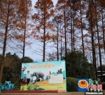 去年疫情之后，动物园园长沈志军发出了“求报复”的呼吁，希望更多人来动物园玩，支持动物园的生存。被访者供图 - 江苏新闻网