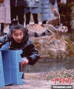 放归野生动物。被采访者供图 - 江苏新闻网