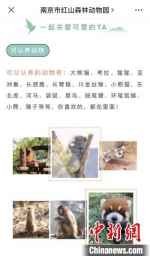 红山动物园的认养动物消息，获得了南京民众的热烈支持。动物园官网截图 - 江苏新闻网