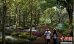 新添“傍花杉林”景观设计图。凤凰岛国家湿地公园供图 - 江苏新闻网