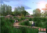 新添“香蒲观鸟”景观设计图。凤凰岛国家湿地公园供图 - 江苏新闻网